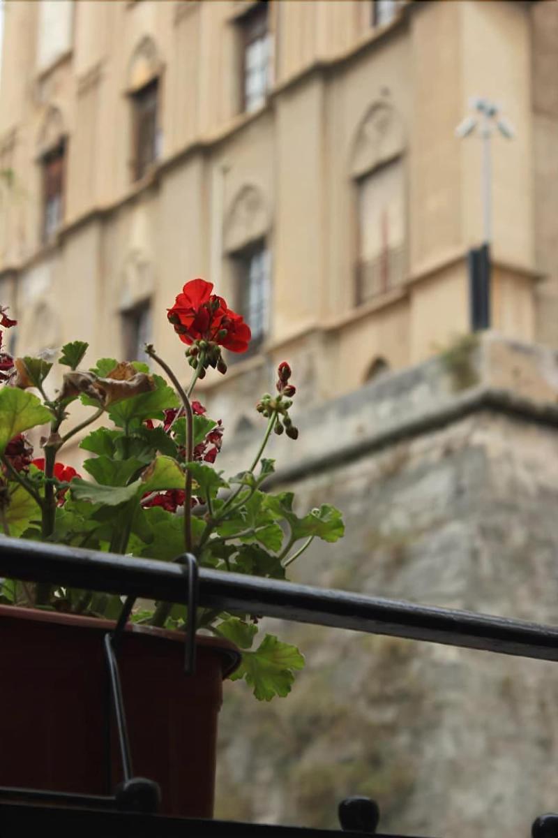 B&B "Al Bastione Normanno 巴勒莫 外观 照片