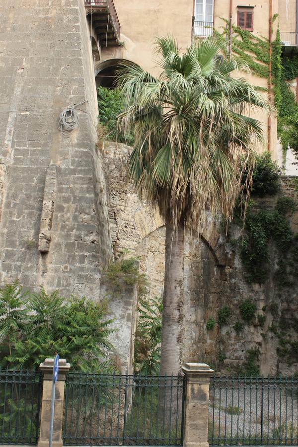 B&B "Al Bastione Normanno 巴勒莫 外观 照片